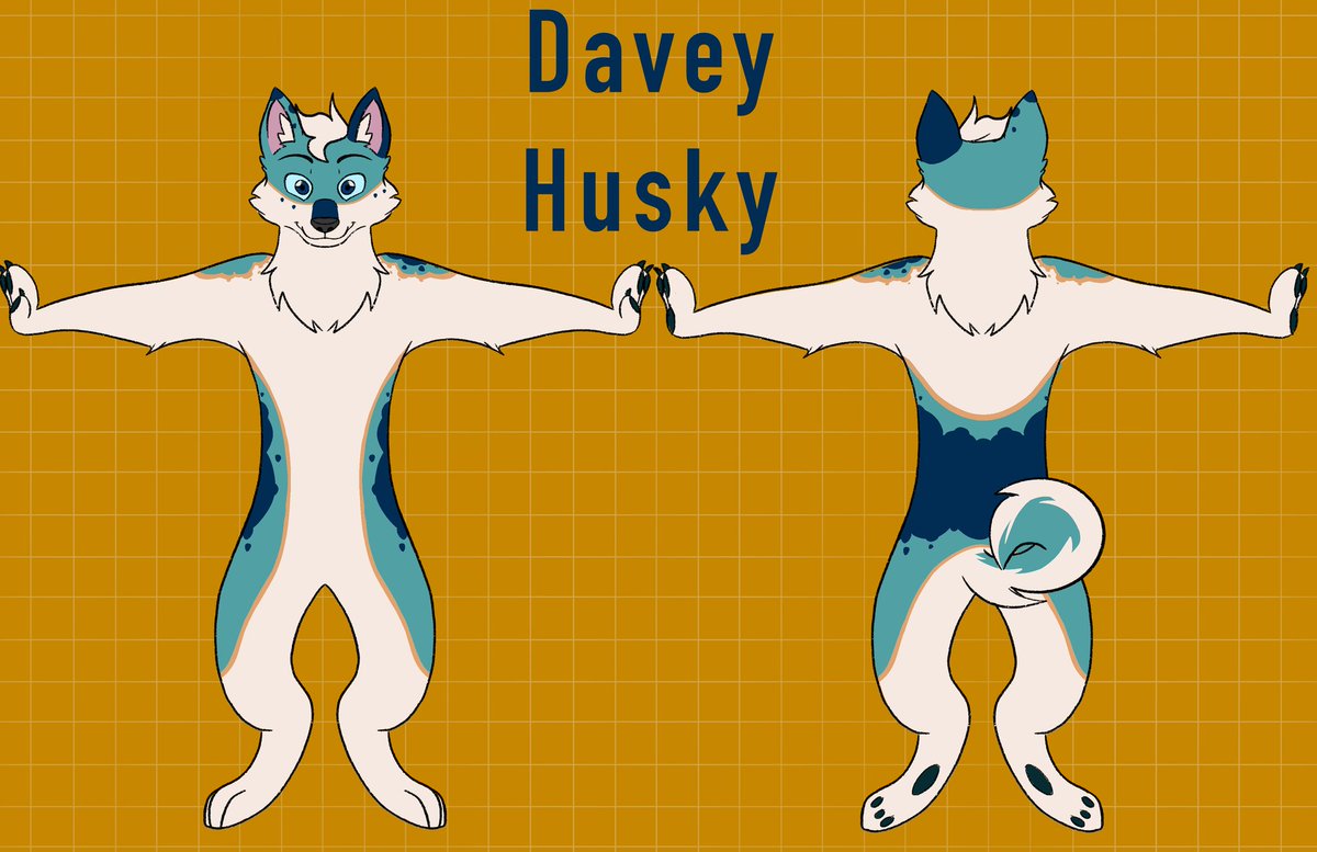 Davey The Husky 🇵🇷 🔜 MP 2025 tweet media