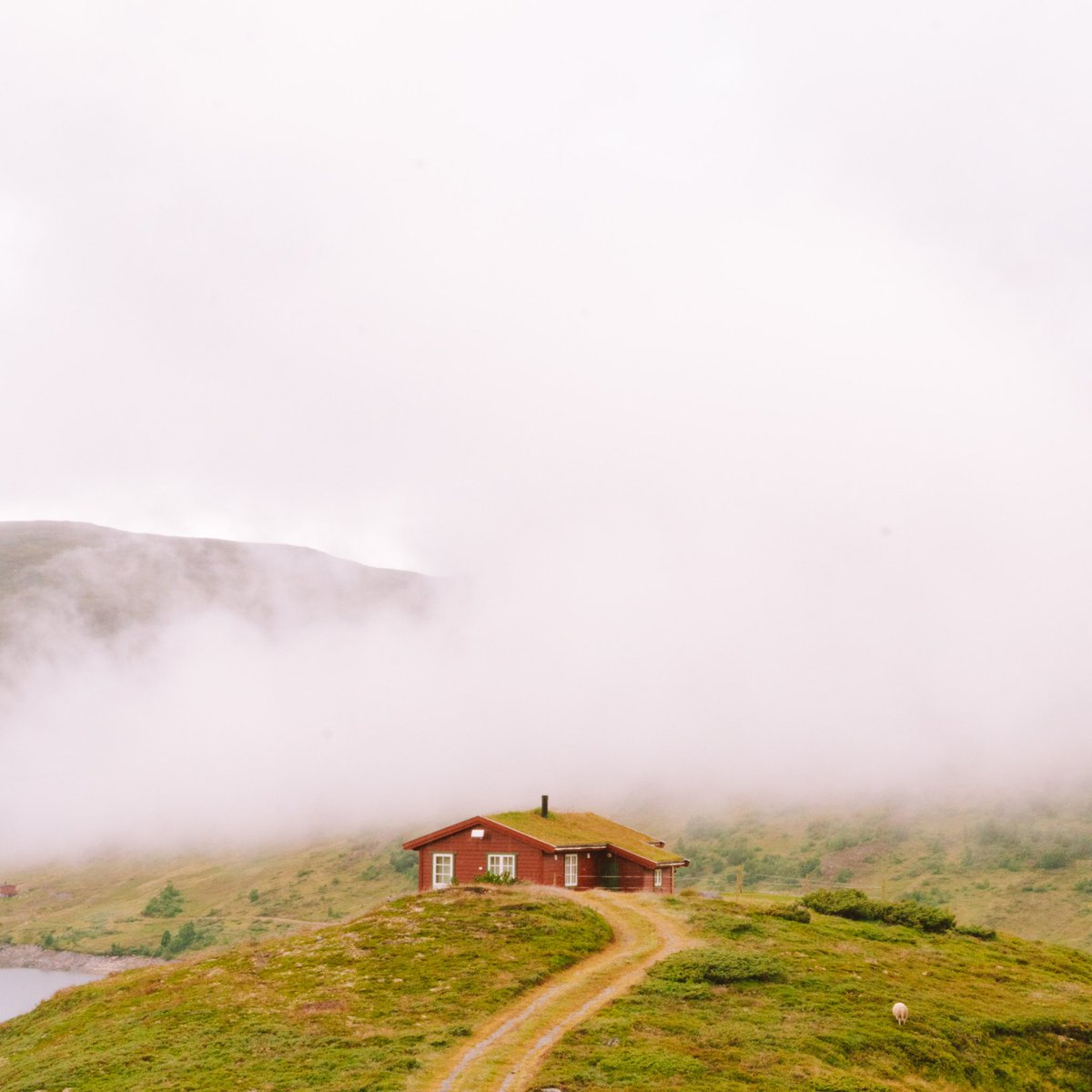 kingplumms's tweet photo. Norway Part 2: https://t.co/K7evvzAte9