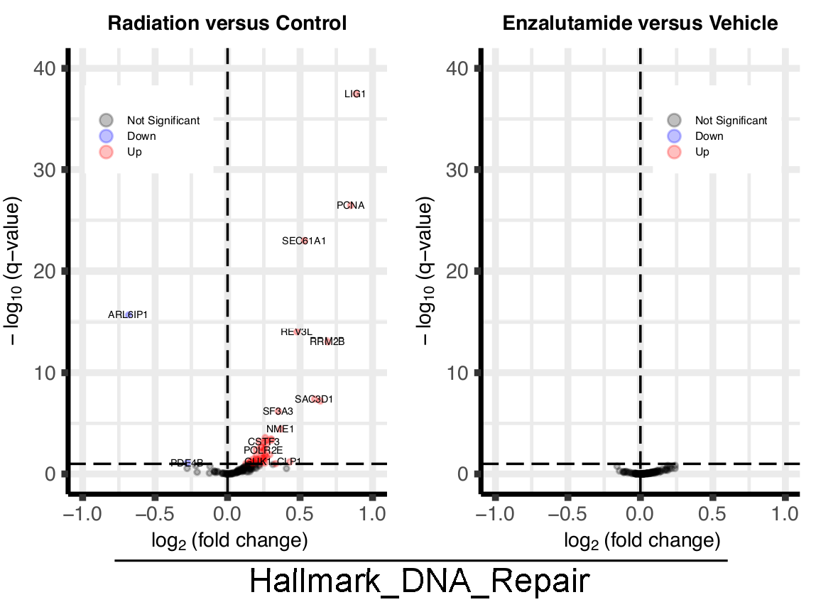 MCR_AACR's tweet photo. Hasterok et al. discover that the #AndrogenReceptor does not directly regulate the transcription of #DNADamageResponse genes in #ProstateCancer.
https://t.co/IThJR7f3se
@DanielFrigo @UVA @UConn @MDAndersonNews @UHouston https://t.co/WU0cbWj4QL