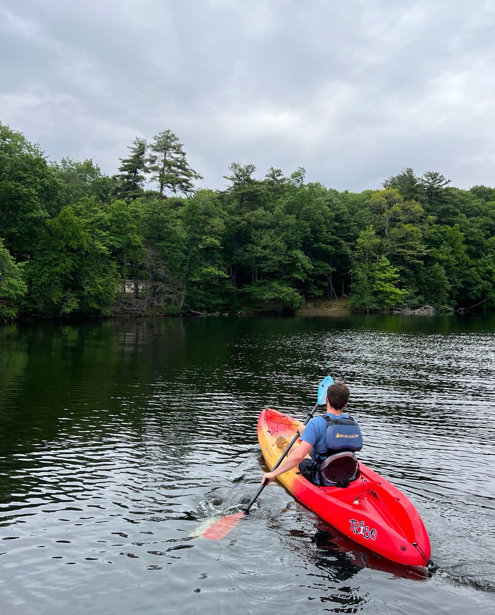 BoatingInBoston's tweet image. Paddle through paradise. 🚣