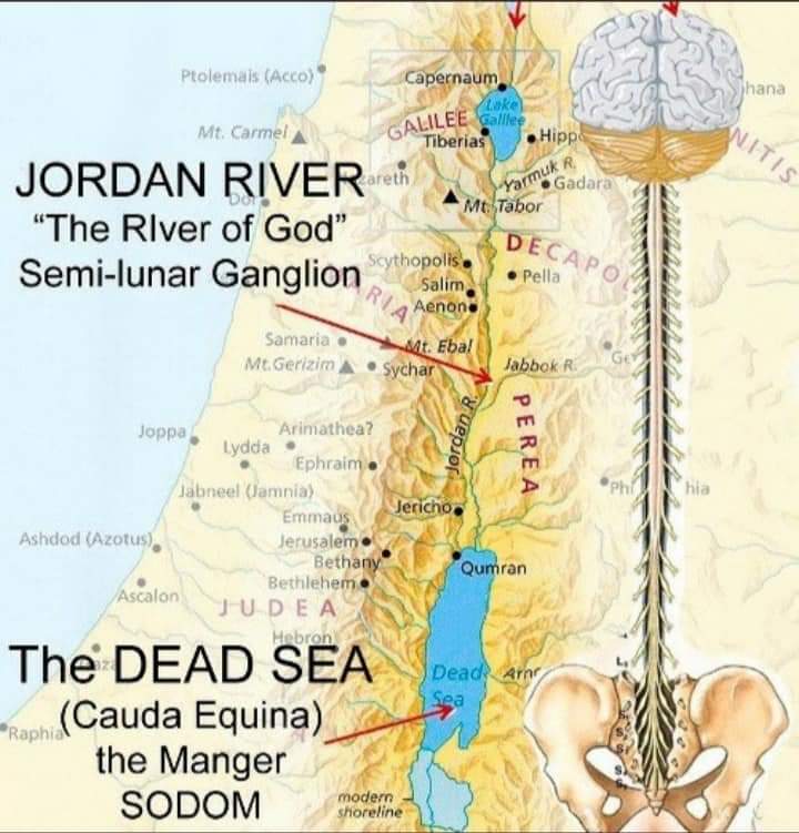 adam-eve-red-blood-blue-the-bible-says-jehovah-took-a-rib-from