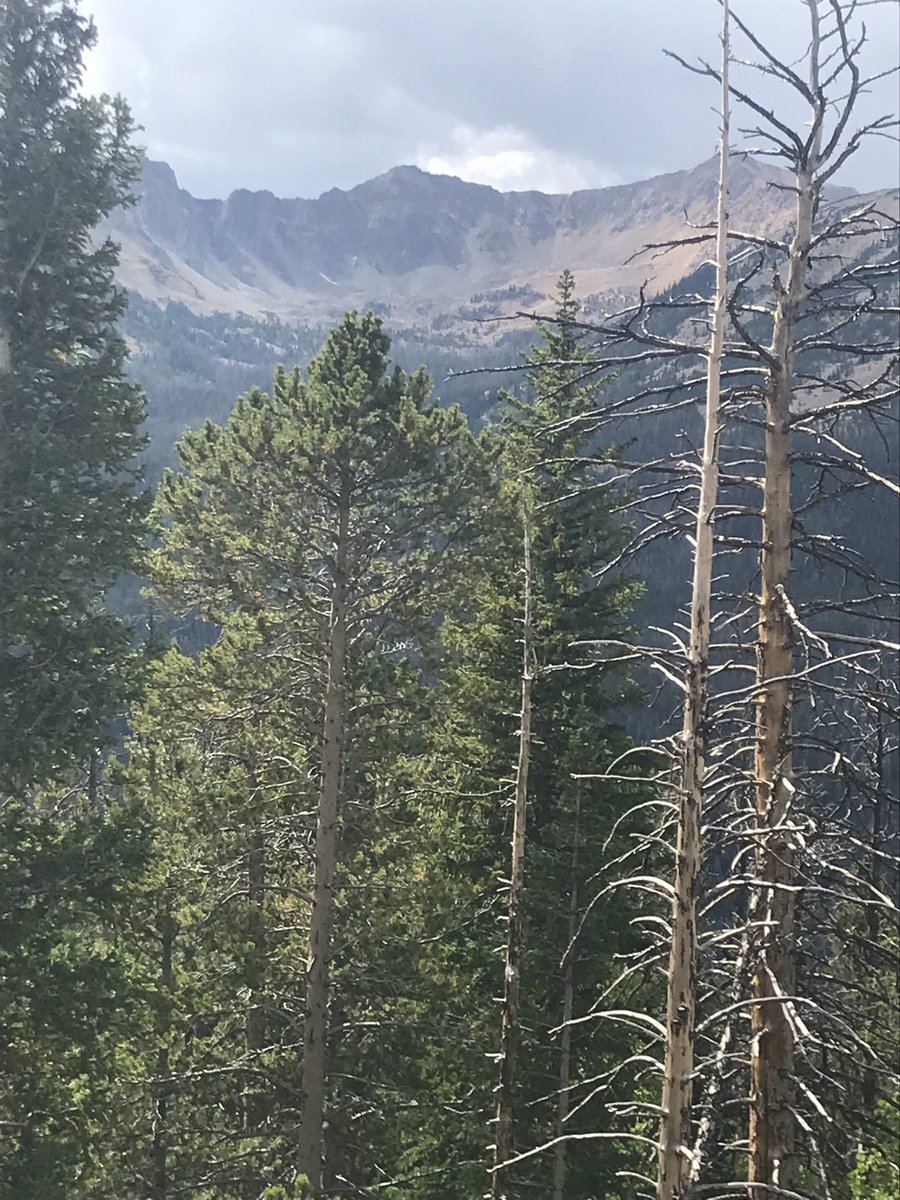 Donald Sinner tweet media