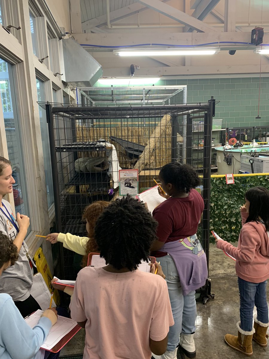 Holifield-Plano ISD tweet media