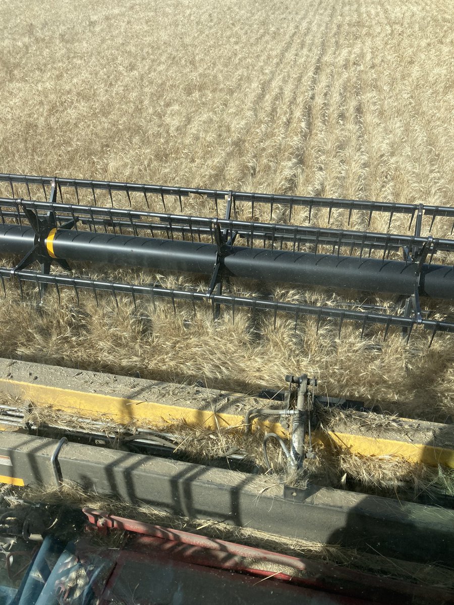 Susan Heather tweet media