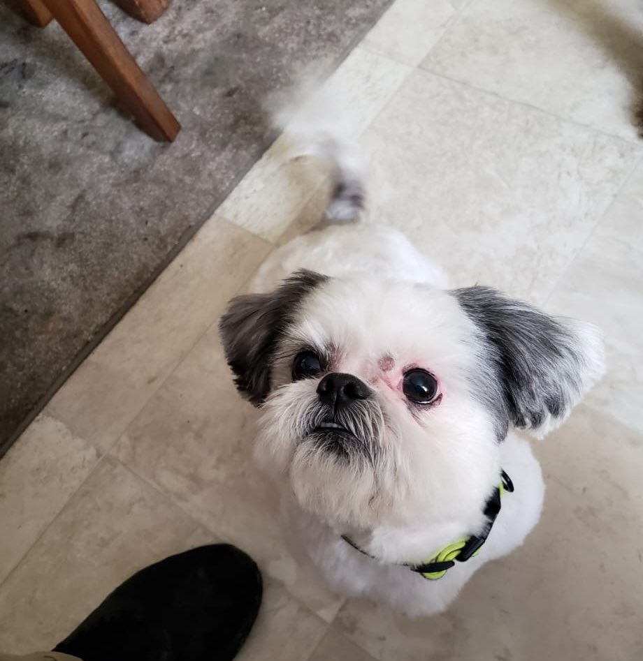 FlexChapmanTattoo tweet media