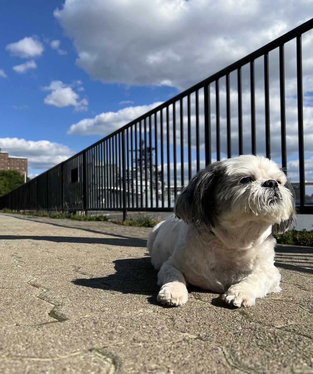 FlexChapmanTattoo tweet media