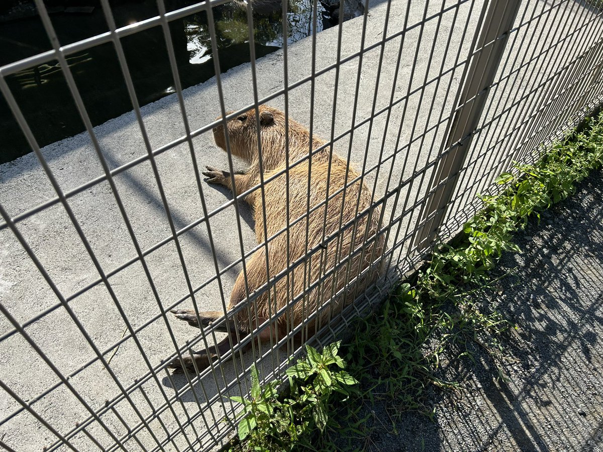 おはようございます。