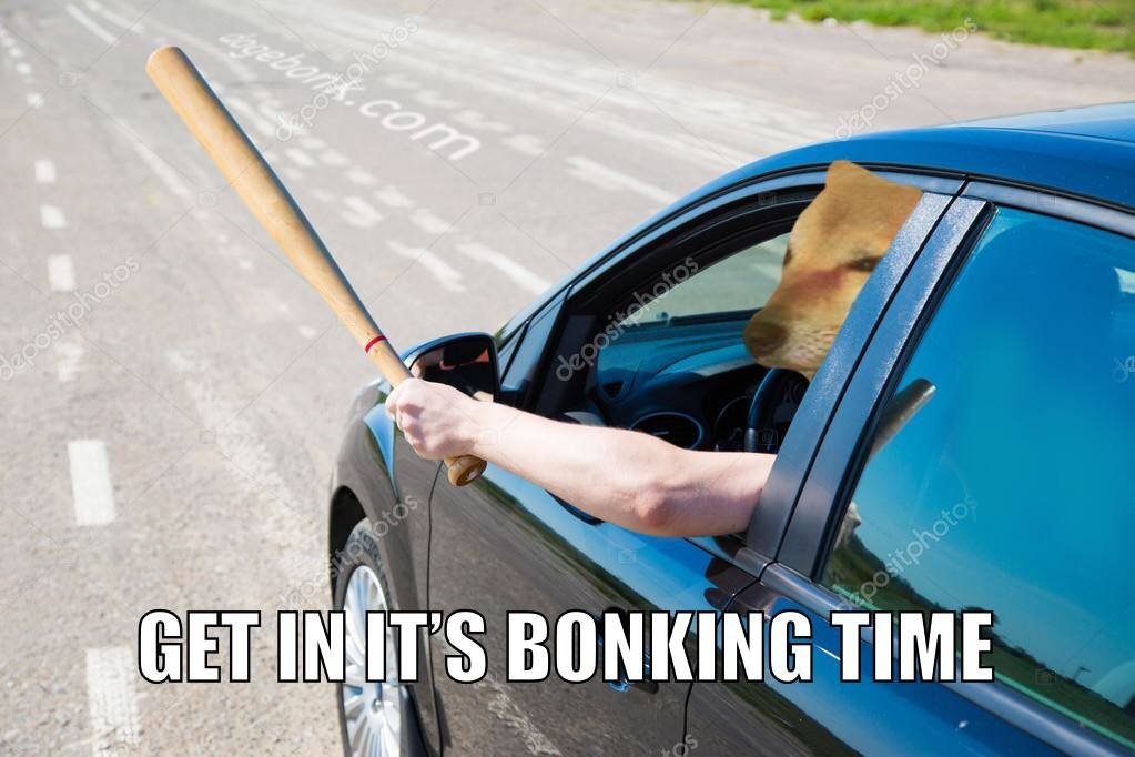DOBOMemes ||| DogeBonk Memes ||| tweet media