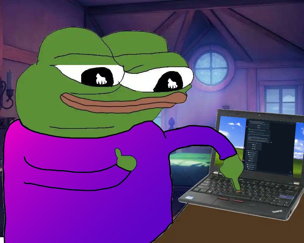 APED 🦍 tweet media