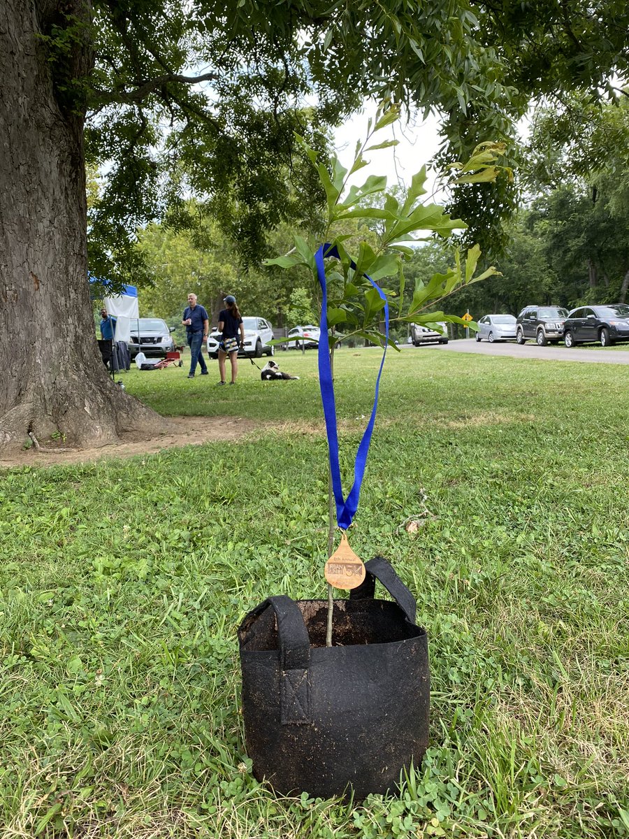 citurtle's tweet photo. @TNEnvironment 2 years ago I ran in the urban runoff 5k and won a lil tree. That tree is doing great and is now 7 ft tall 😁 https://t.co/EBhmnzPaDf
