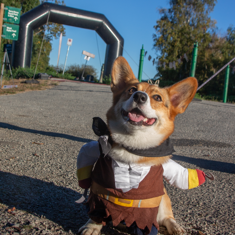 Big Fun Run Series tweet media