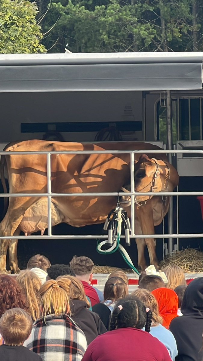 BuncombeCTE tweet media