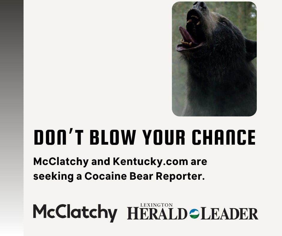 Andrew Henderson tweet media