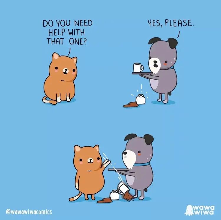 Cat Food Breath (@catfoodbreath) on Twitter photo 