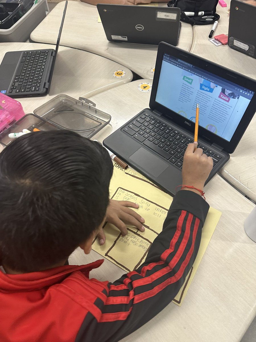 maestralife's tweet photo. Week one of informational text! Today we identified the Central Idea and Supporting Details in a text. They worked so hard. ⭐️ 🦘 #Roonation #classroom https://t.co/Fa9lKJi1Jr