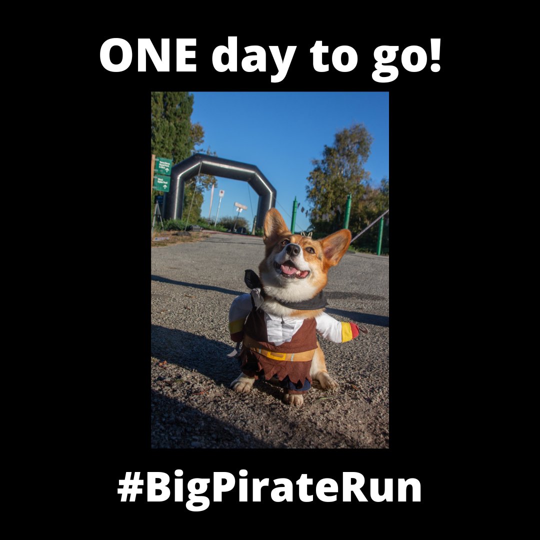 Big Fun Run Series tweet media