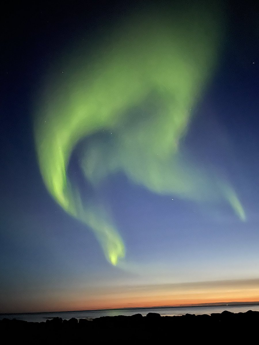greybill (@thegreybill) on Twitter photo <a href="/jorgianfloren/">Jorg Ian Floren</a> I’m already out and about, intending to photograph a lighthouses, ending up lucky, gazing at norther lights and meeting local cats. (No cat images, giving them scratches had priority)
But I’ll be back at Reykjavik a day before Fanfest. <a href="/jorgianfloren/">Jorg Ian Floren</a> I’m already out and about, intending to photograph a lighthouses, ending up lucky, gazing at norther lights and meeting local cats. (No cat images, giving them scratches had priority)
But I’ll be back at Reykjavik a day before Fanfest.