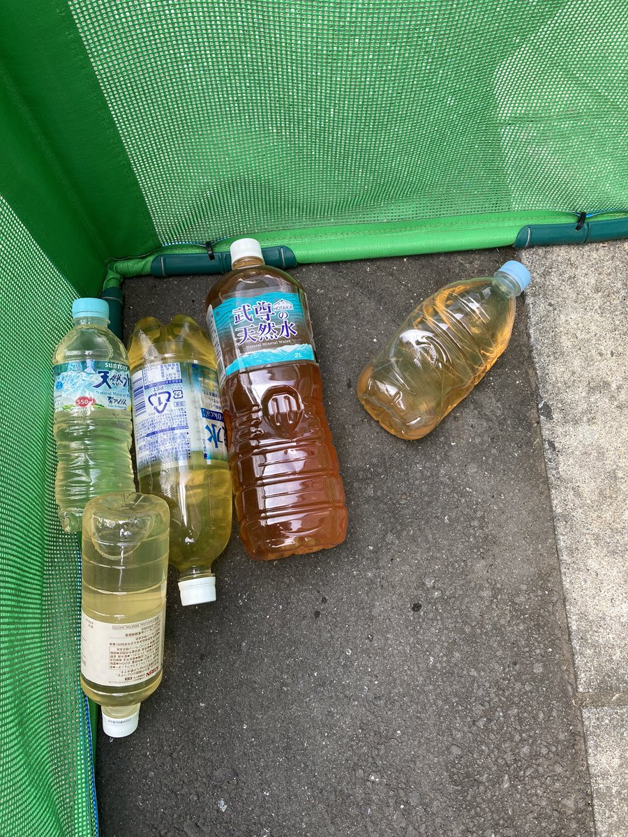 takizawa0914's tweet photo. 中身入りが1番の恐怖です。おはようございます。ゴミ清掃員の滝沢です。出す方は沸かしたお茶を出しているだけと思うかもしれませんが、回収する方は本当にお茶か？と思います。出せば何でも回収する訳ではなく、基本的に液体は回収しませんので、中身を出してから指示に従ってお出しください！

#ゴミ清掃員の日常 #滝沢の推し活はごみ分別