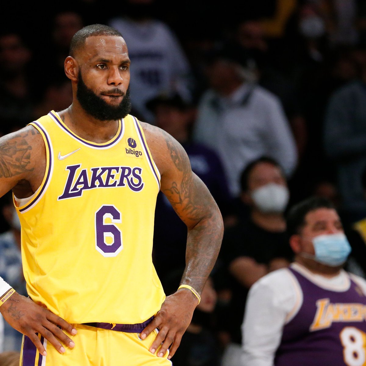 NBA Memes tweet media
