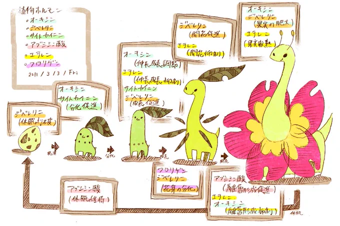 医学ネタとか勉強系のネタ何か無いですか?って聞かれて、これ送ったんだけどダメだった 