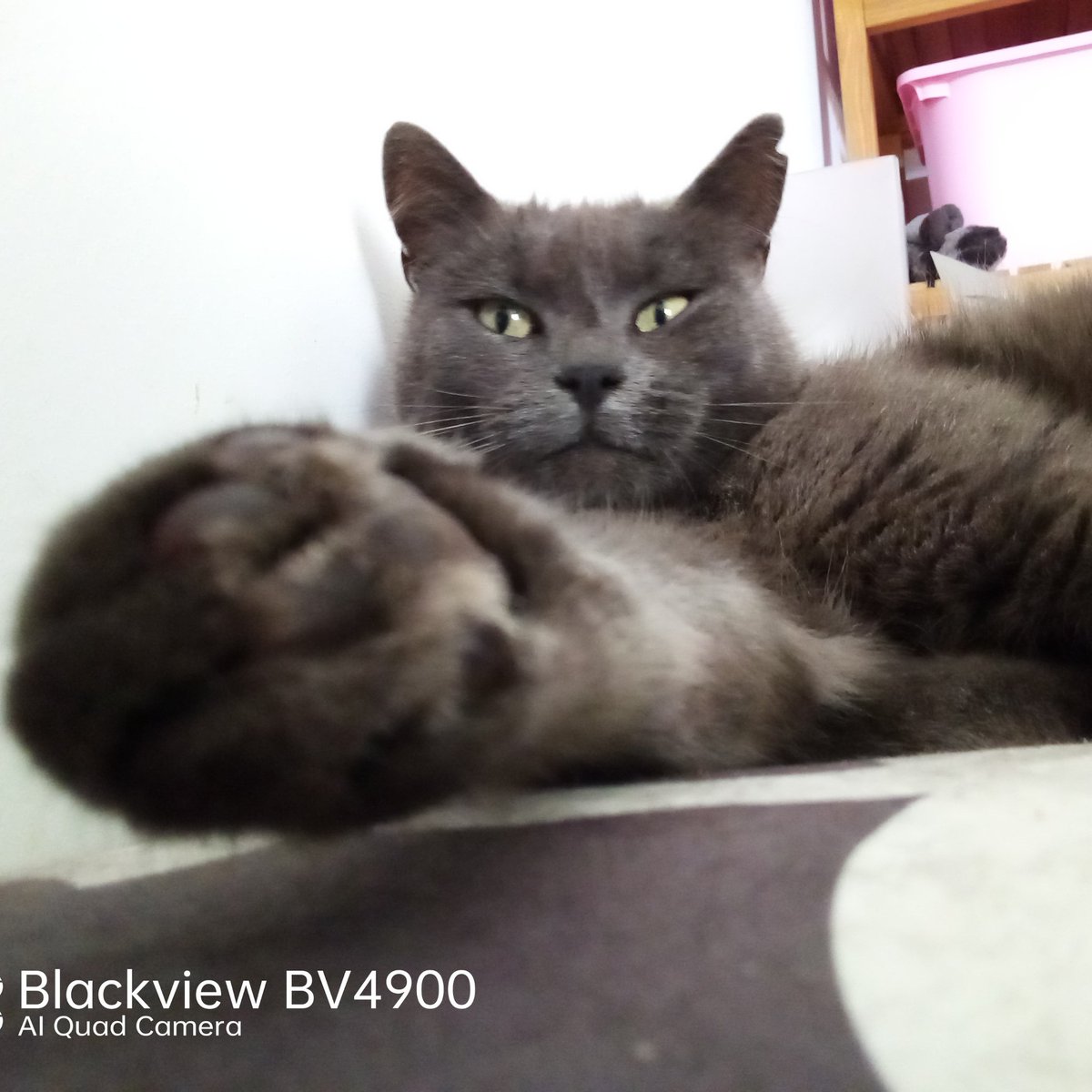 fredbibi's tweet image. #NouvellePhotoDeProfil