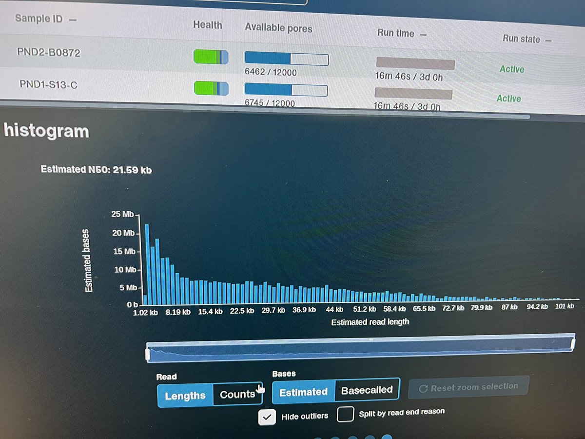 Alex Di Genova (@digenoma) on Twitter photo The P2-solo <a href="/nanopore/">Oxford Nanopore</a> sequencing the first two Chilean human genomes. N50 22kb.🎉🍾
<a href="/uohiggins/">Universidad de O'Higgins</a> <a href="/ici_uoh/">Instituto de Ciencias de la Ingeniería ICI-UOH</a> The P2-solo <a href="/nanopore/">Oxford Nanopore</a> sequencing the first two Chilean human genomes. N50 22kb.🎉🍾
<a href="/uohiggins/">Universidad de O'Higgins</a> <a href="/ici_uoh/">Instituto de Ciencias de la Ingeniería ICI-UOH</a>
