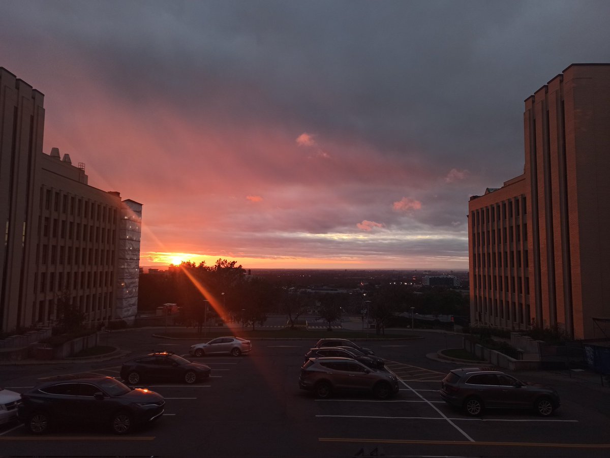 BISP2023 (@congresbisp) on Twitter photo Les meilleurs coucher de soleil sur Montréal depuis UdeM <a href="/UMontreal/">Université de Montréal</a> #BISP2023 Les meilleurs coucher de soleil sur Montréal depuis UdeM <a href="/UMontreal/">Université de Montréal</a> #BISP2023