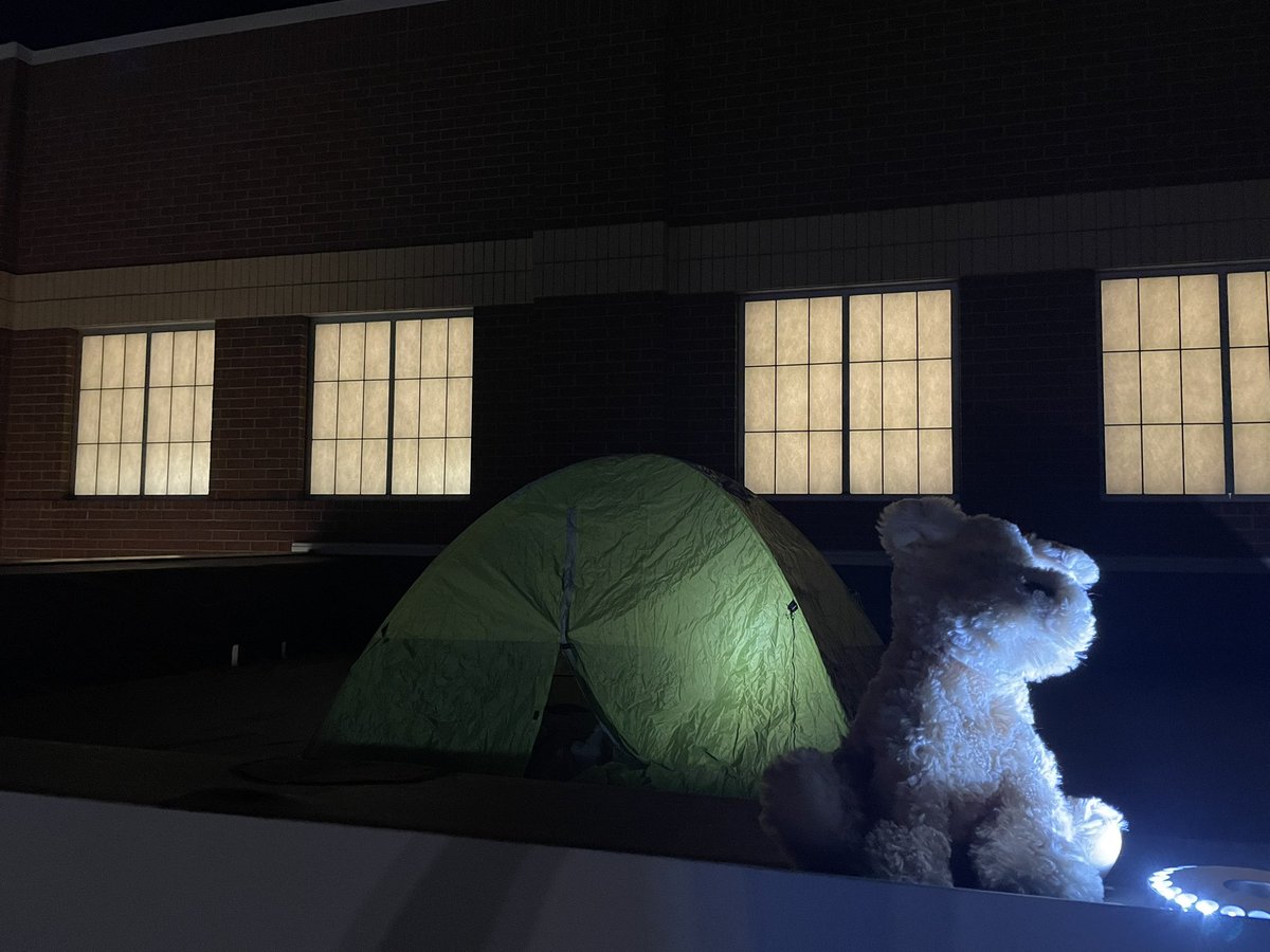 Jason Loudon tweet media