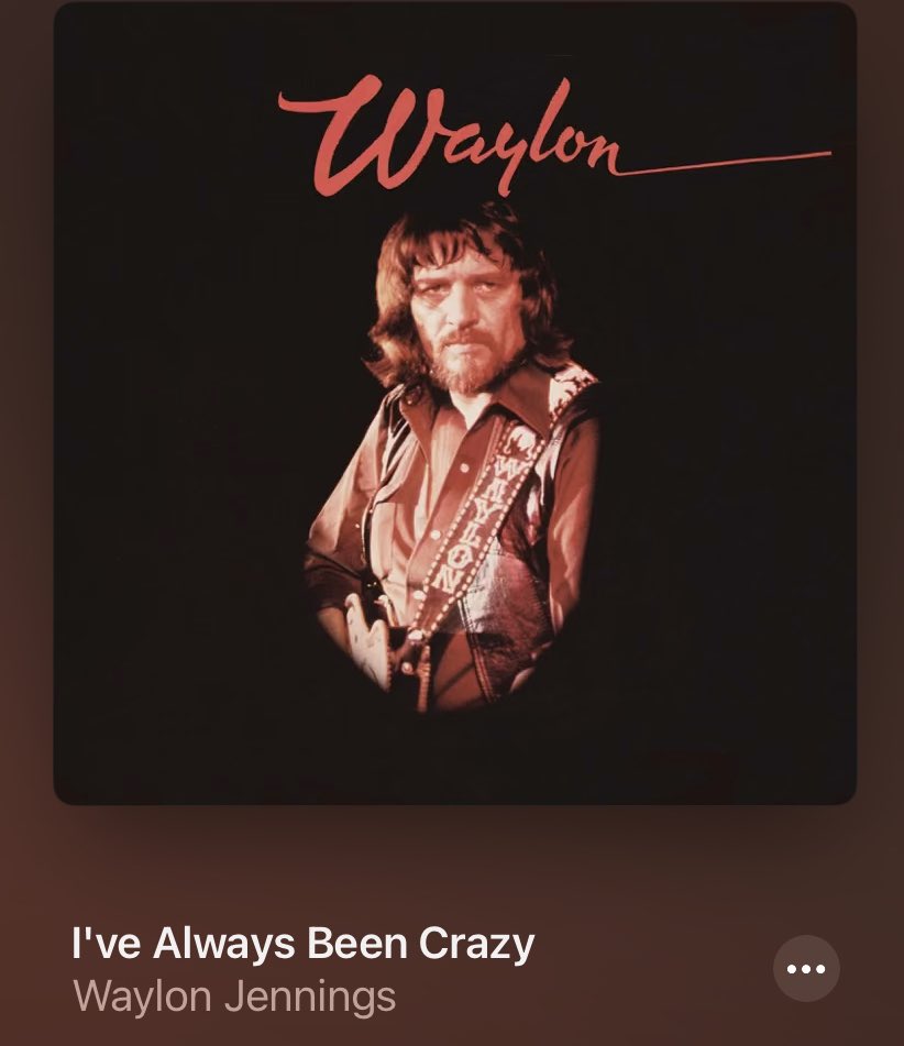VinylRidesAgain's tweet photo. I feel like if @Sturgillsimp and Waylon Jennings had a baby, it would look like this and also, play #HITS like this. https://t.co/nMqxDNKho3