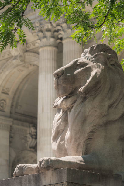 mspringut's tweet photo. Patience and Fortitude, marble lions of the New York Public Library, commissioned in 1911 for $420,000 in today's dollars.

@Monumental_Labs could do this today for under $200k.

"Cost" is no no longer a reason not to build great things. https://t.co/mCtXsMn84Z