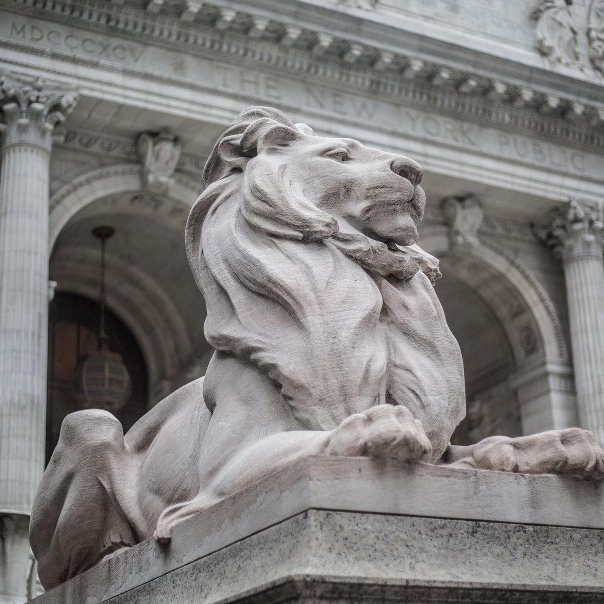 mspringut's tweet photo. Patience and Fortitude, marble lions of the New York Public Library, commissioned in 1911 for $420,000 in today's dollars.

@Monumental_Labs could do this today for under $200k.

"Cost" is no no longer a reason not to build great things. https://t.co/mCtXsMn84Z