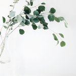 Photo by Essential Oil Uses (@essentialoiluse)
