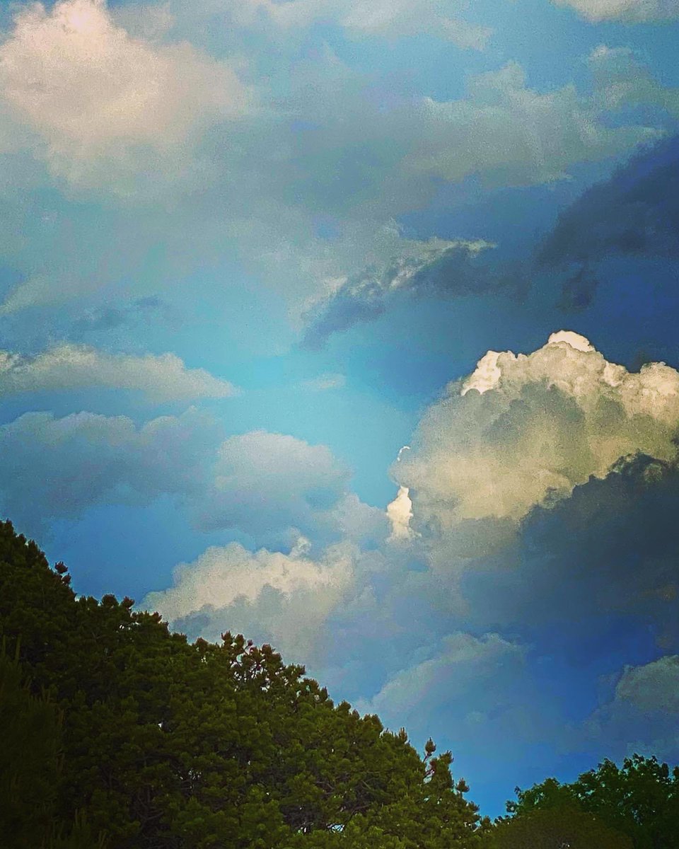 ASpiritualFaith's tweet photo. In awe of God’s creations! https://t.co/fSKZ7cLakF