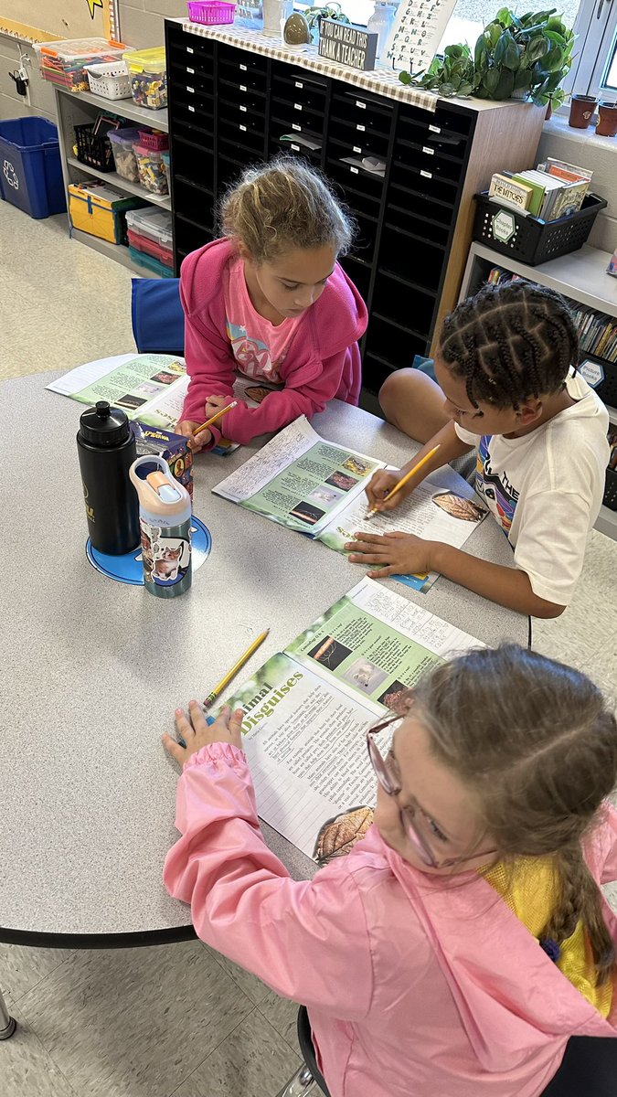 Madison Jackson tweet media