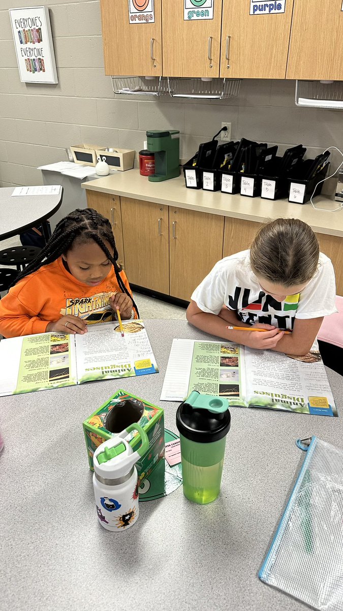 Madison Jackson tweet media