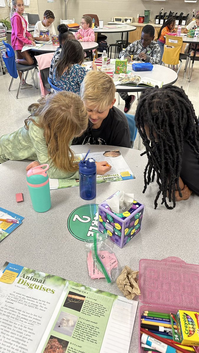 Madison Jackson tweet media