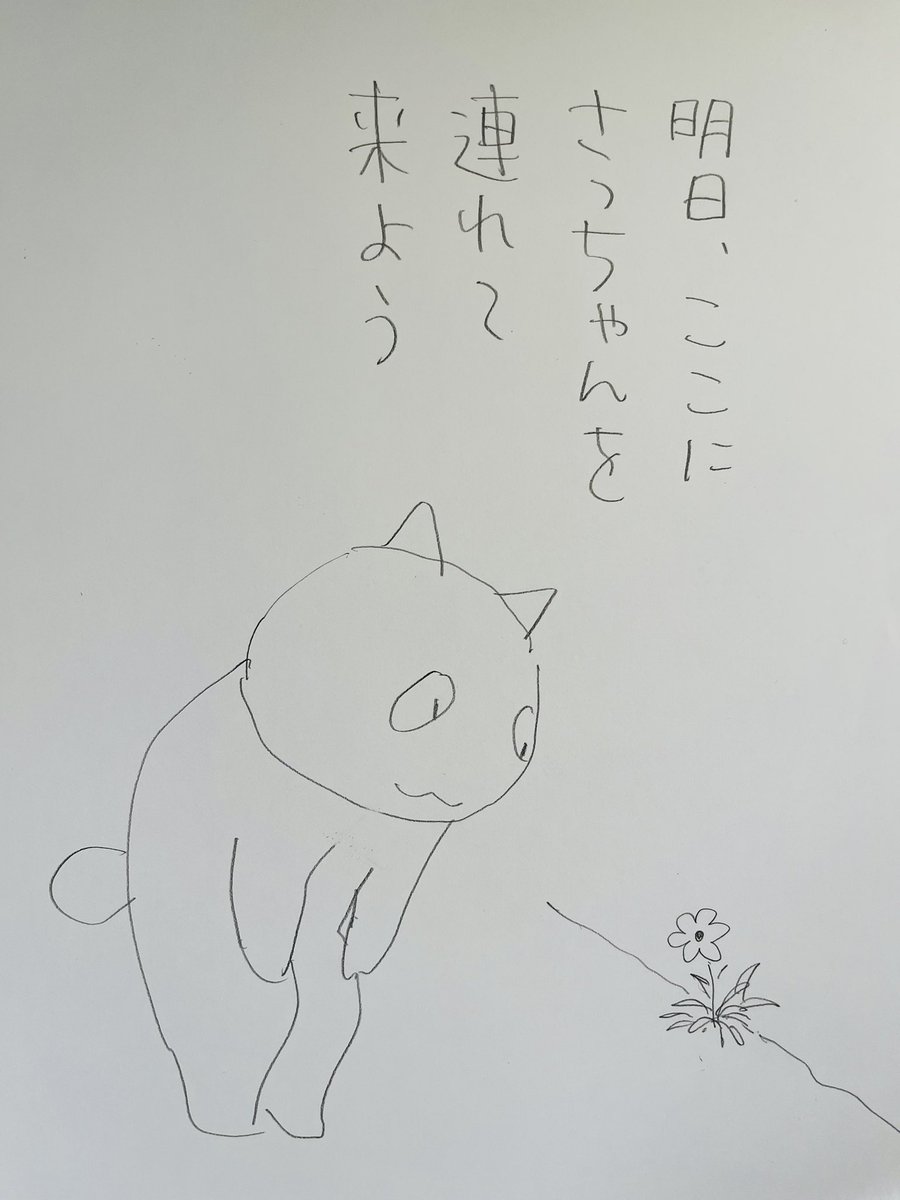 起きた人、おはよう 寝る人、おつかれ〜 漫画「夜廻り猫」は、10月に台湾版の7巻8巻が出ることになりました 台湾の版元・大塊文化出版社さんが 台中市の国立歌劇院というところで夜廻り猫フェアを催してくれることに! おついでのある方、良かったら。。 またお知らせします。 今日 ご無事で