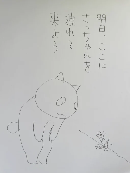 起きた人、おはよう 寝る人、おつかれ〜  漫画「夜廻り猫」は、10月に台湾版の7巻8巻が出ることになりました 台湾の版元・大塊文化出版社さんが 台中市の国立歌劇院というところで夜廻り猫フェアを催してくれることに! おついでのある方、良かったら。。 またお知らせします。  今日 ご無事で
