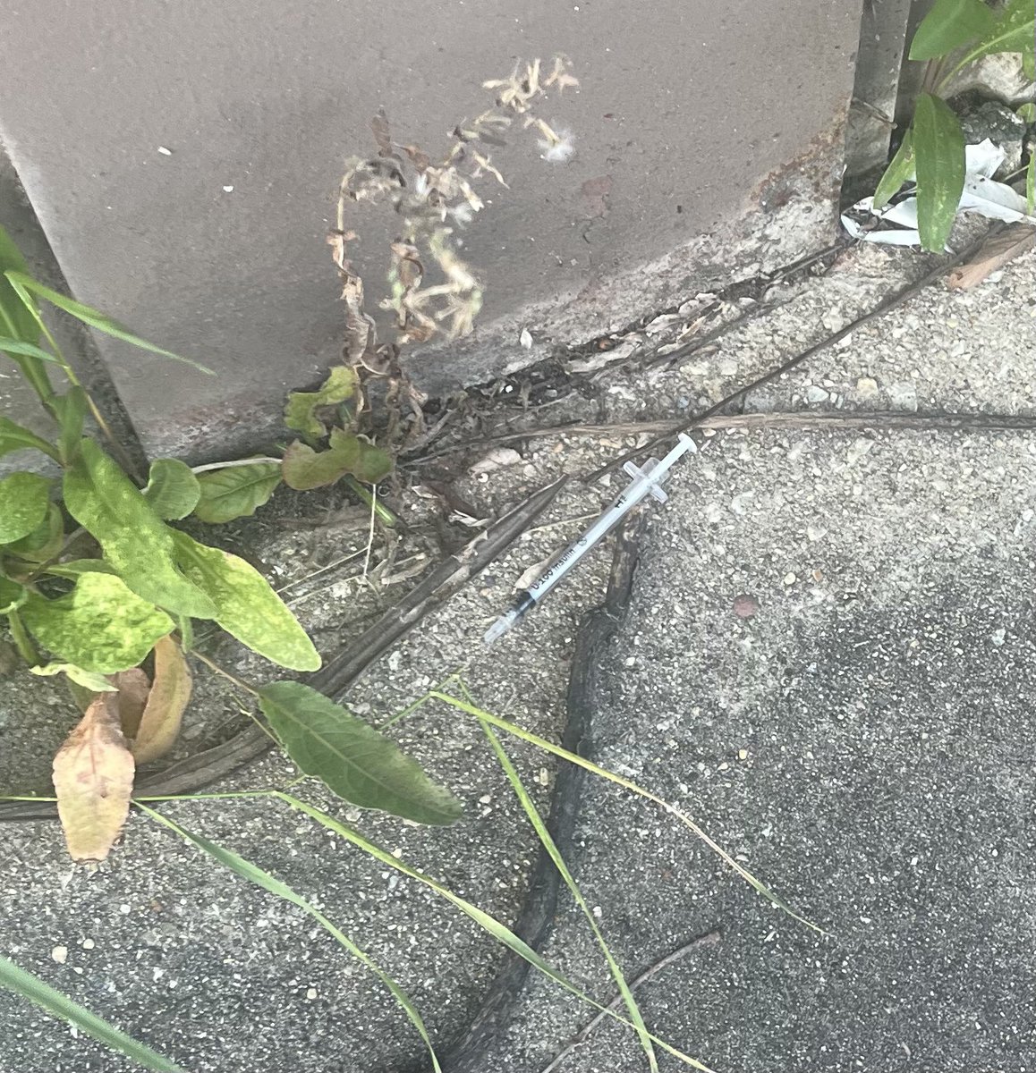 drakewj09's tweet photo. Saw a record 6 needles on the ground today walking home from work. Good to see Chicagoans are staying up to dates on their booster shots! #watchyastep! https://t.co/Nnchk9eGQb