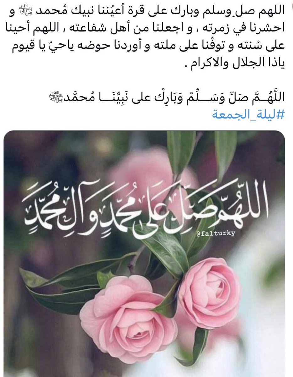 NohabentAli's tweet photo. https://t.co/sRUbbBpZSA