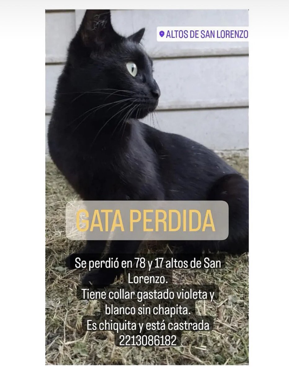 #LaPlata Difunfir 🔔