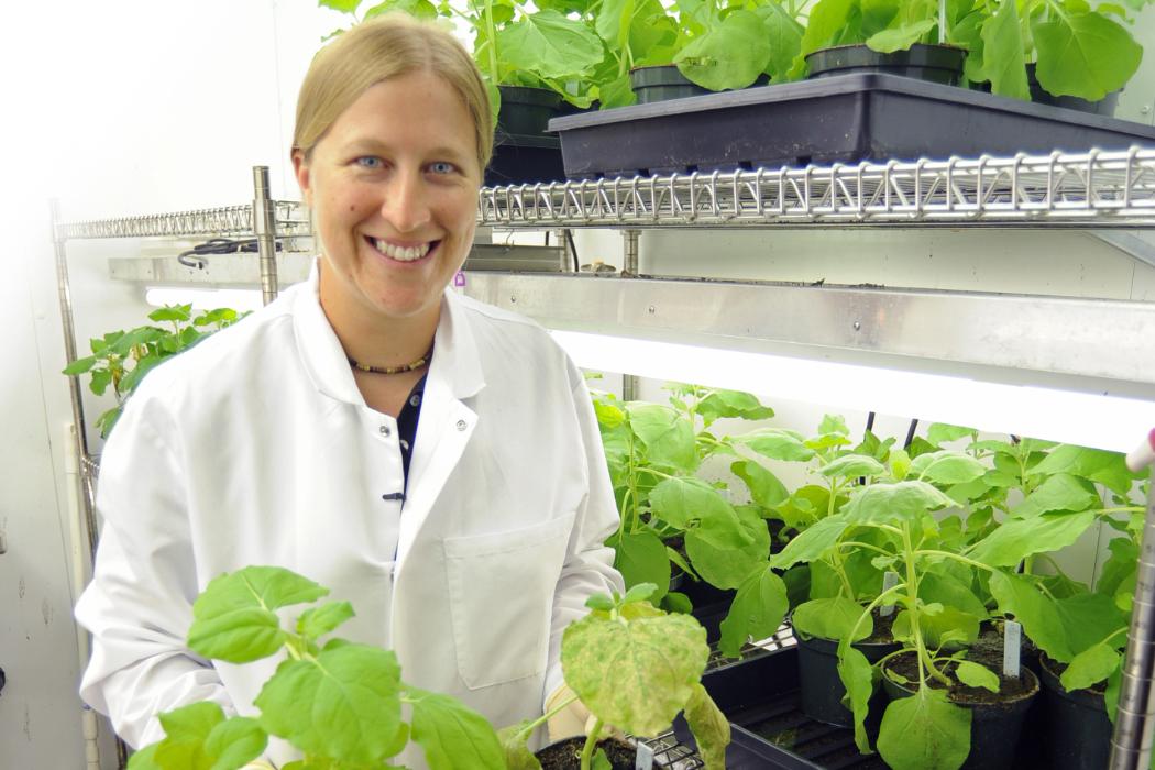 University of Canterbury (@ucnz) on Twitter photo Huge congratulations to our UC researchers who have received a $28.9 million funding boost in the <a href="/MBIEgovtnz/">MBIE</a> Endeavour Fund investment round today 👏👏
Read more: bit.ly/45OTfXJ
UC Researchers: <a href="/SAKessans/">Dr Sarah Kessans</a> <a href="/DrHHNZ/">Heather Hendrickson</a> Professor Richard Green, Professor Pete Gostomski, Dr Huge congratulations to our UC researchers who have received a $28.9 million funding boost in the <a href="/MBIEgovtnz/">MBIE</a> Endeavour Fund investment round today 👏👏
Read more: bit.ly/45OTfXJ
UC Researchers: <a href="/SAKessans/">Dr Sarah Kessans</a> <a href="/DrHHNZ/">Heather Hendrickson</a> Professor Richard Green, Professor Pete Gostomski, Dr