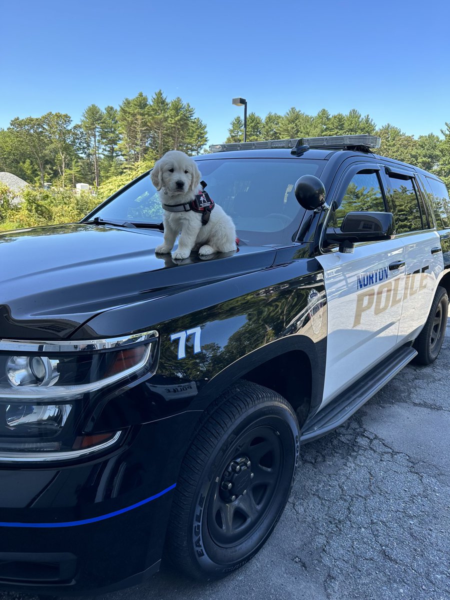 Ryder is the newest addition to the <a href="/NortonMaPolice/">Norton Police Dept.</a> and was appointed by the Selectboard tonight.  He is looking forward to working with the community!