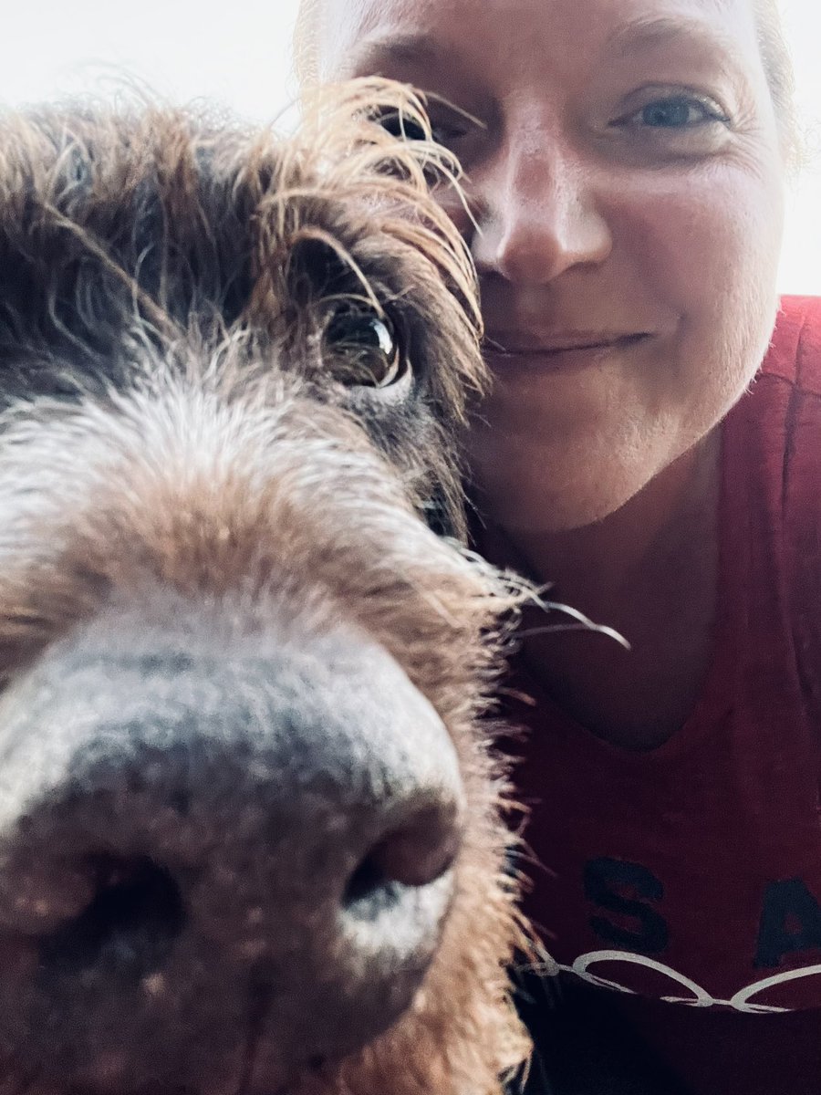 Always chasing down the sun now. 🌅
2 miles ✅ with my #teddyboy 🐾 #boop