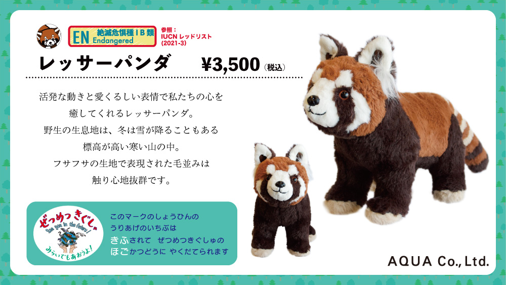 なかよしショップ で販売中「絶滅危惧種レッサーパンダ」をご紹介
