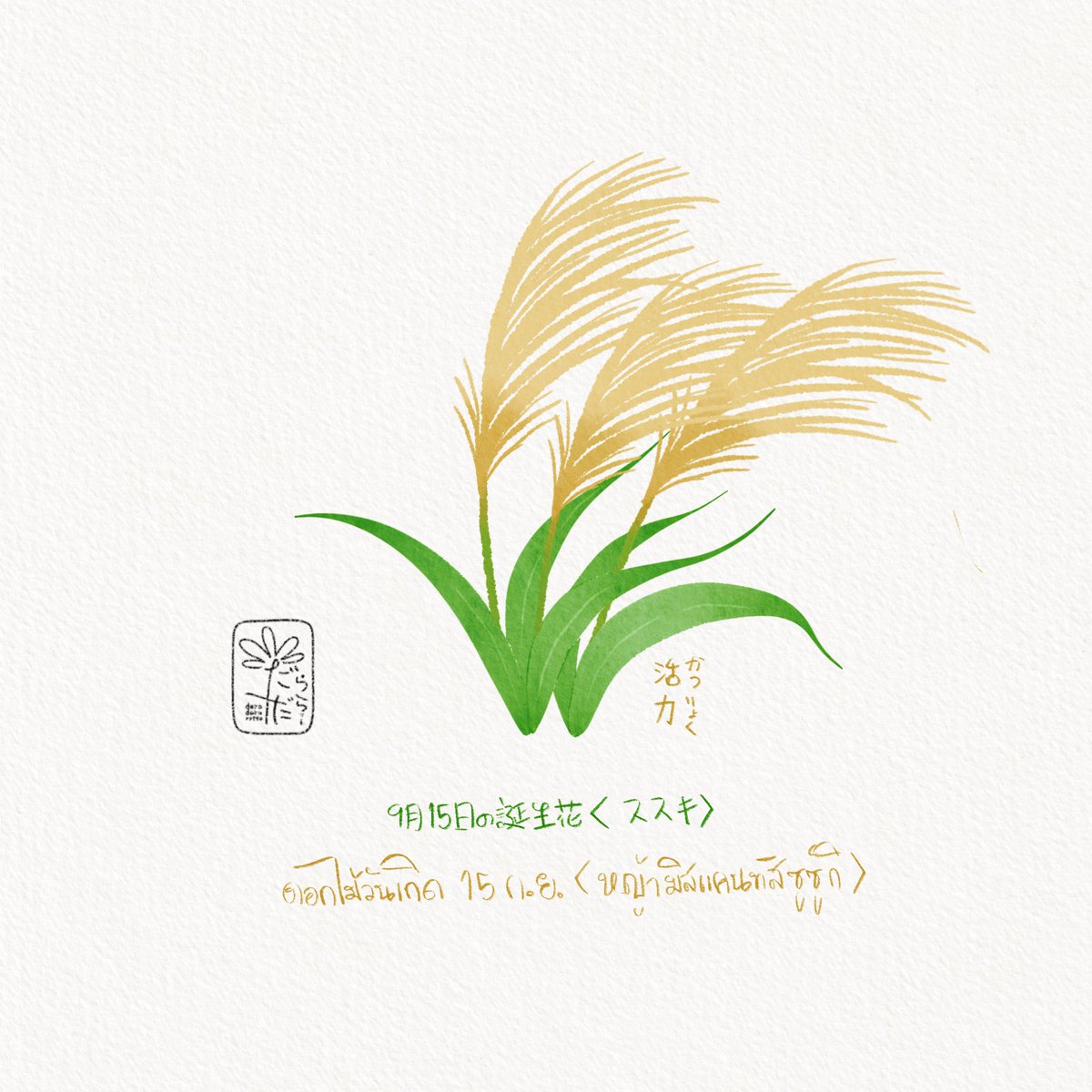 daradaRatto17's tweet photo. ดอกไม้วันเกิด 15 กันยายน
“ดอกหญ้ามิสแคนทัสซูซูกิ”
ภาษาญี่ปุ่นเรียกว่า ススキ(สุสุคิ)
ภาษาดอกไม้คือ ความมีชีวิตชีวา

9月15日の誕生花　“ススキ”
花言葉　“活力(かつりょく)”

September 15th of birthday flower 
“Chinese silver grass”
Flower meanings “Vitality” https://t.co/wQx7rR89x3