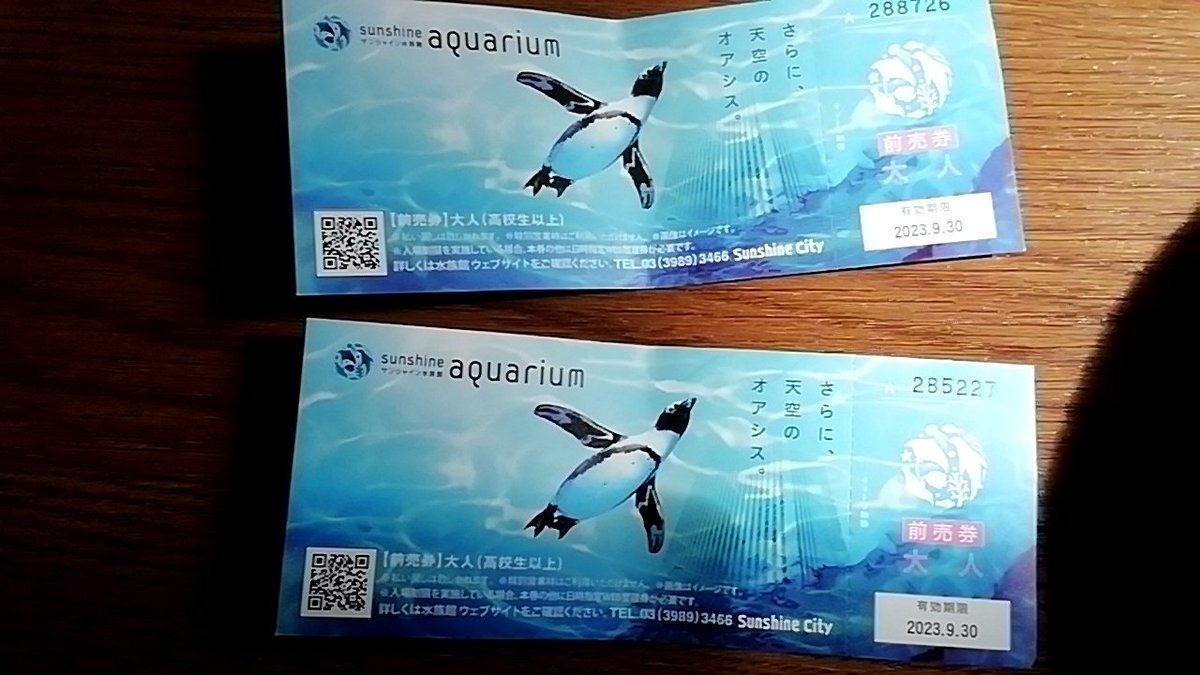 yodan0620's tweet photo. 池袋サンシャイン水族館は今、ナイトアクアリウムをやってますが、このチケットじゃ入れません！
私たち帰って来ました。

ナイトアクアリウムは、ナイトアクアリウム用のチケットのみ！交換もできません、気をつけてね！

 # 池袋サンシャイン水族館
# ナイトアクアリウム
#水族館
 #金券ショップ https://t.co/AD9Qbv5IeP