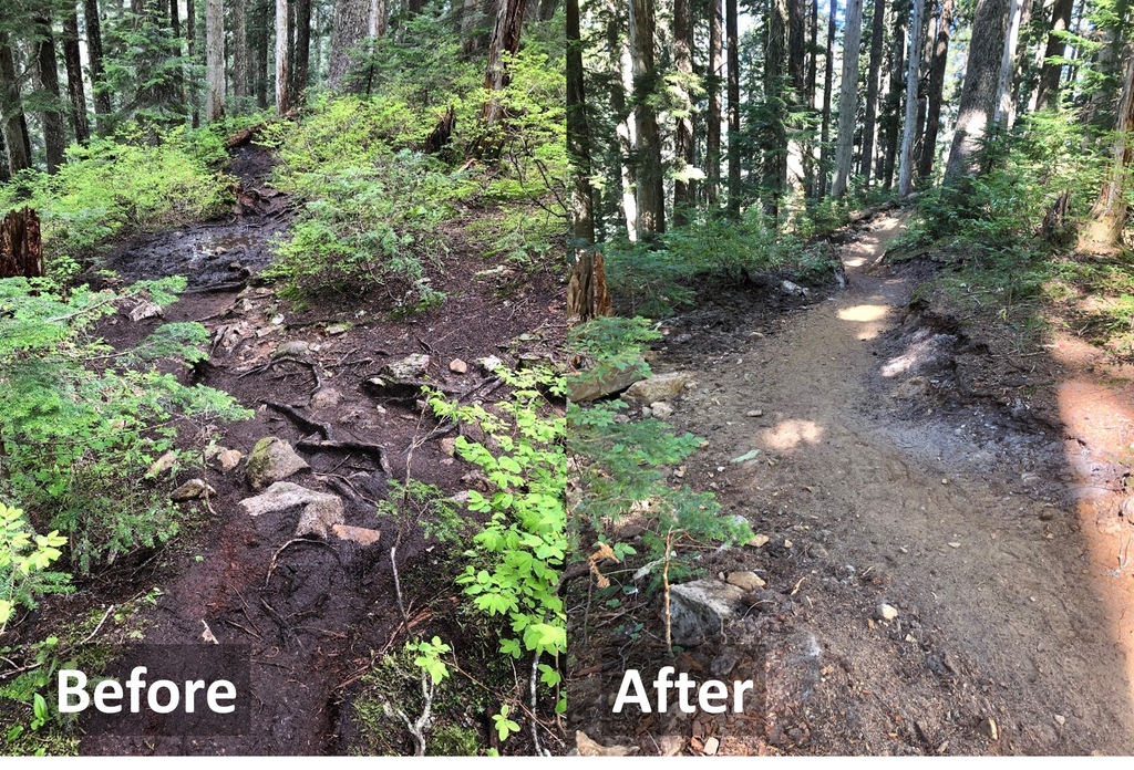 Washington Trails tweet media