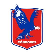 calarconm's tweet photo. @aluksicc a) Sudáfrica 🇿🇦🏉🏟️ #VamosCondores  🇨🇱🏉 https://t.co/SpIPKm10n0
