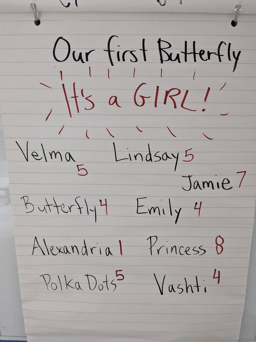 mrpelow's tweet photo. We met our first butterfly today! Princess emerged from her chrysalis this morning, and this afternoon tickled some palms before taking flight to continue the life cycle! @TES_LDSB @LimestoneDSB 🦋 1 down, 2 to go 🐛 https://t.co/zZMMUA4WoV